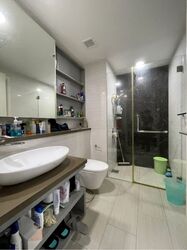 Sky Green (D13), Condominium #352880821